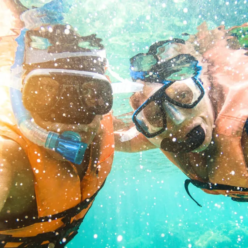 Dip & Sip Afternoon Snorkel Image 1