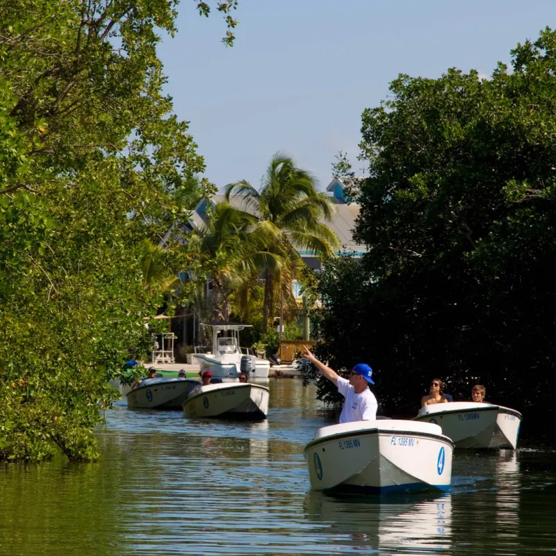 key west eco tour