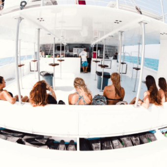 key west reef snorkeling sandie cat