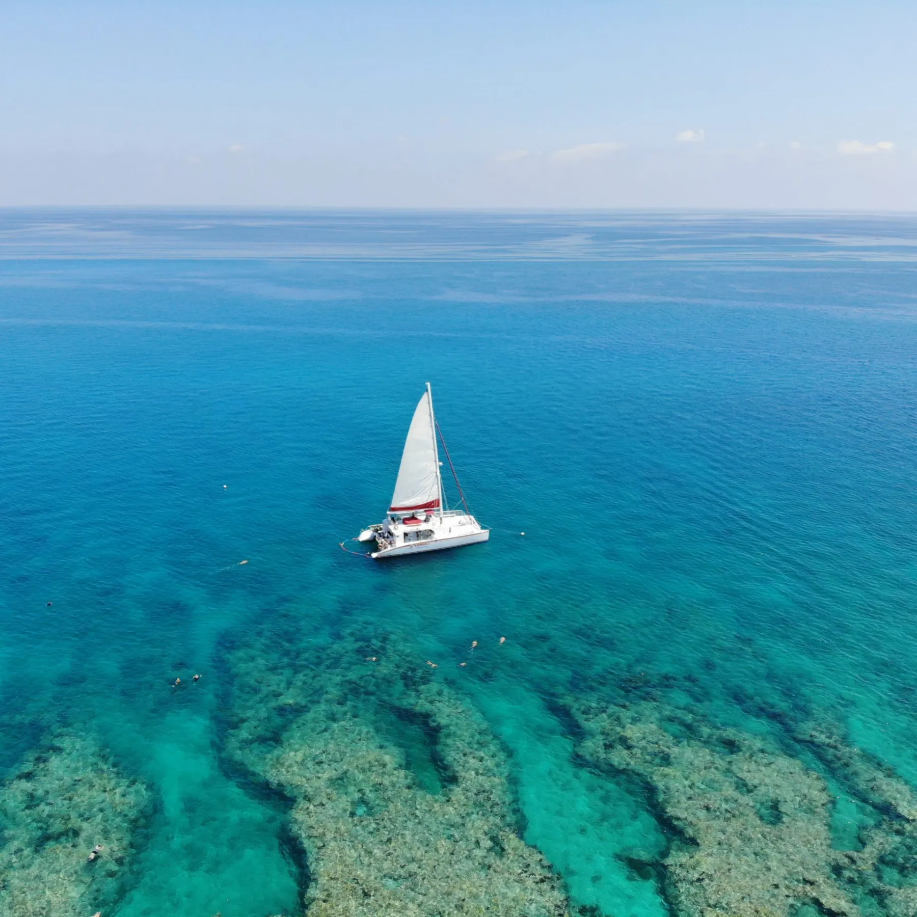 reef snorkeling in florida