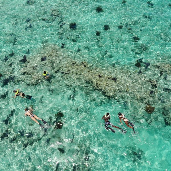 reef snorkeling in key west florida