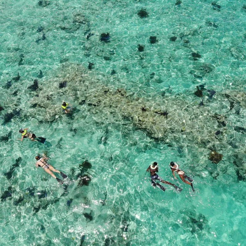 reef snorkeling in key west florida