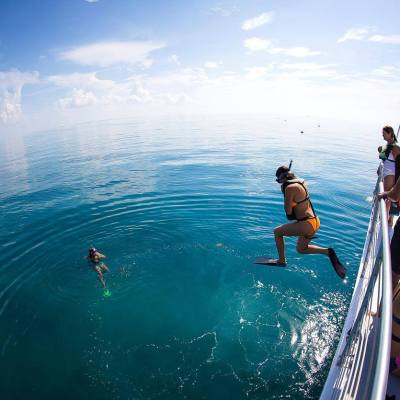 jumping in the water snorkeling tour