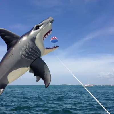 funny parasail photo