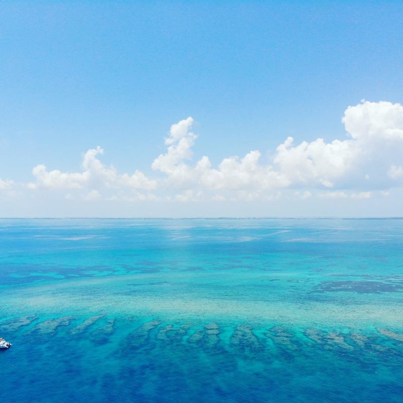 florida keys reef