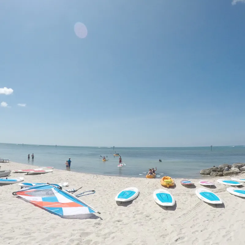 a group of people on a beach