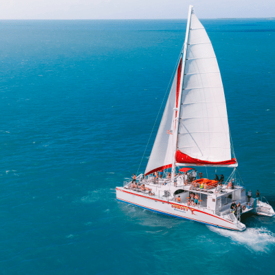 sailboat catamaran in key west