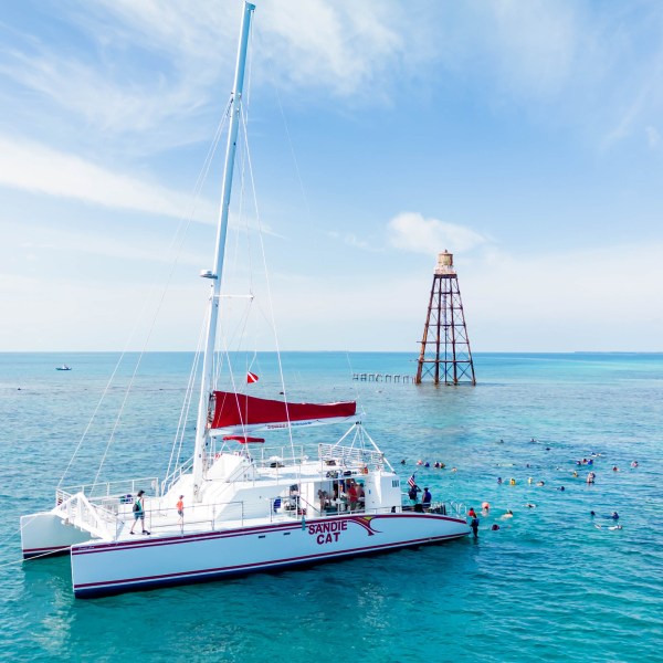 snorkel the reef in key west florida