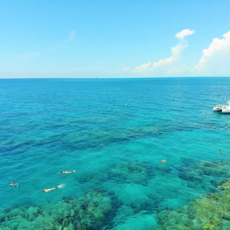 sunset reef snorkel key west