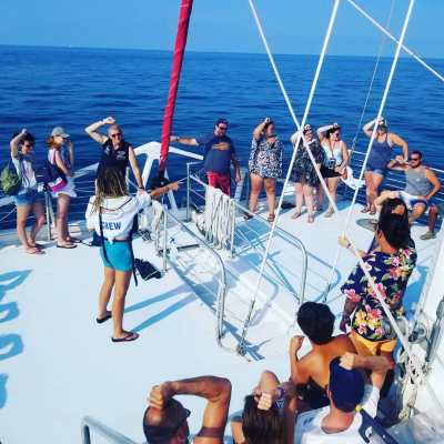 snorkel school key west