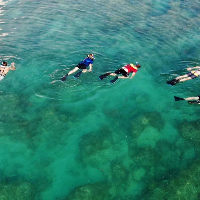 family snorkeling near me