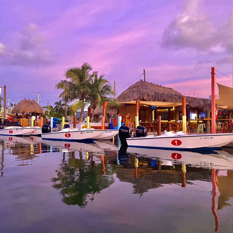 cow key marina eco tour