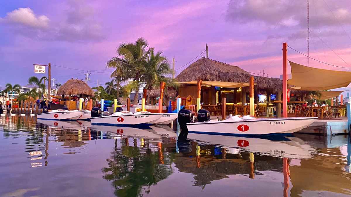 cow key marina eco tour