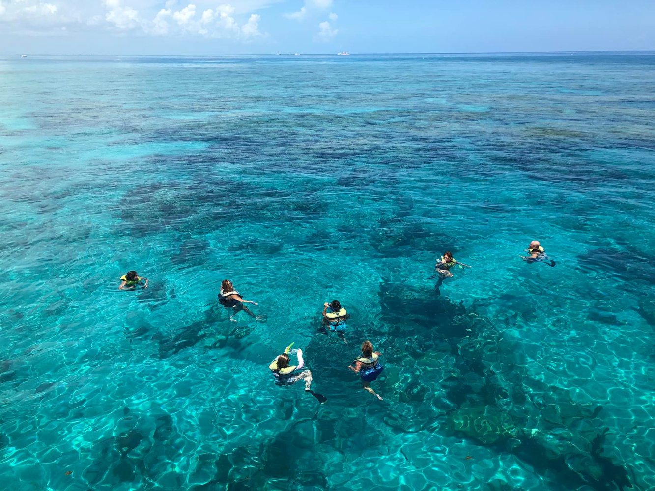 Reef Snorkeling