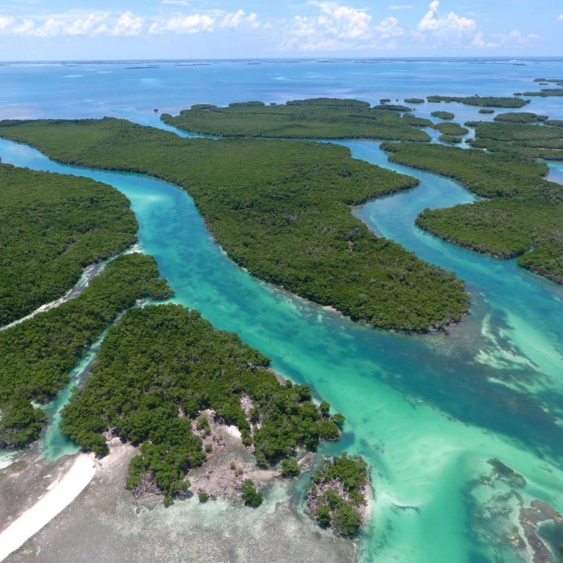 mud keys florida keys boat rental