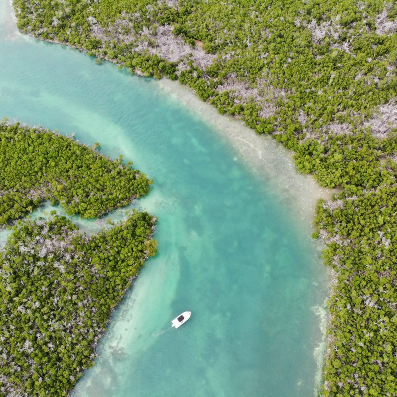 key west boat rental sandbar near me