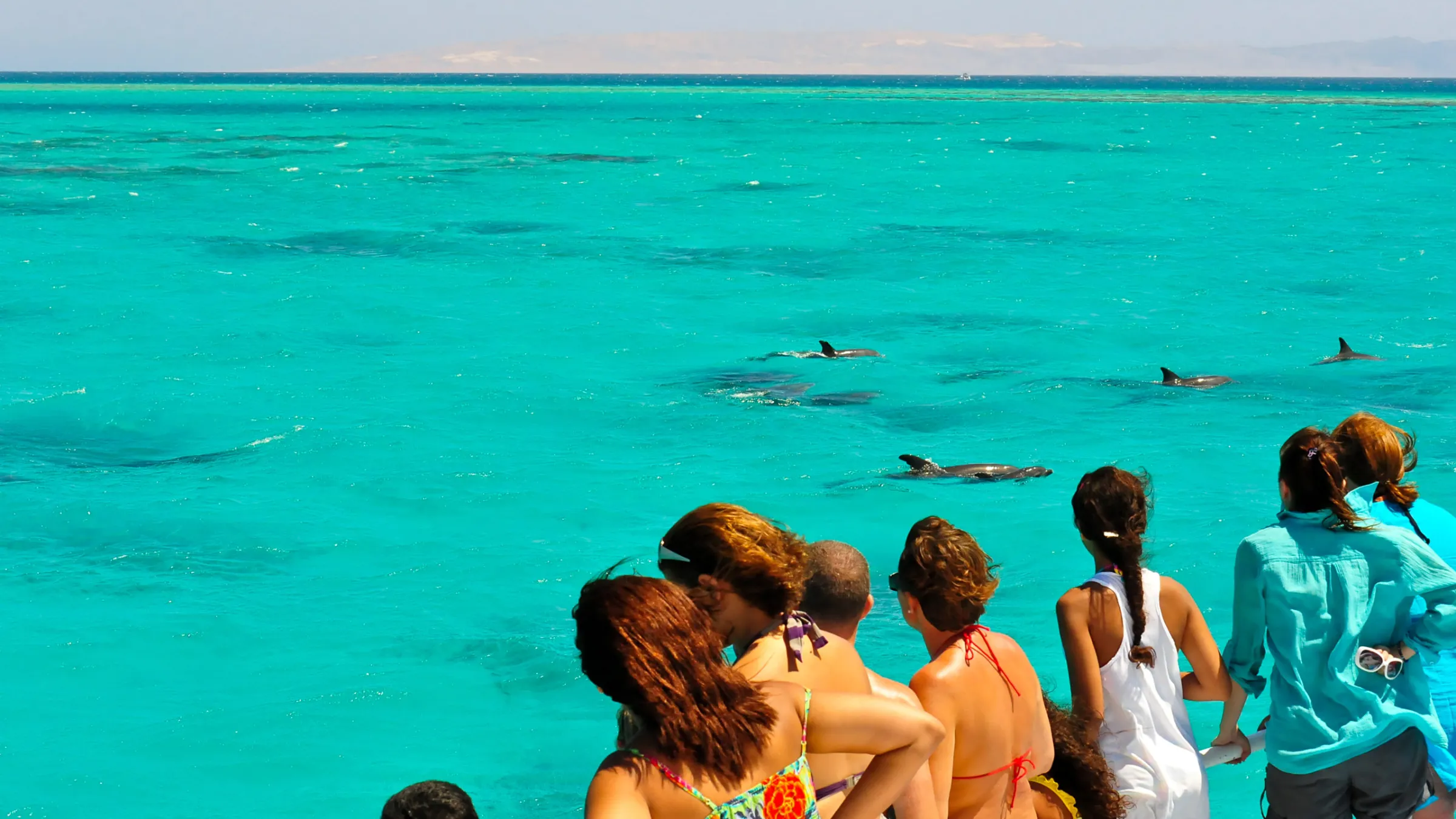 key west dolphin watch combo