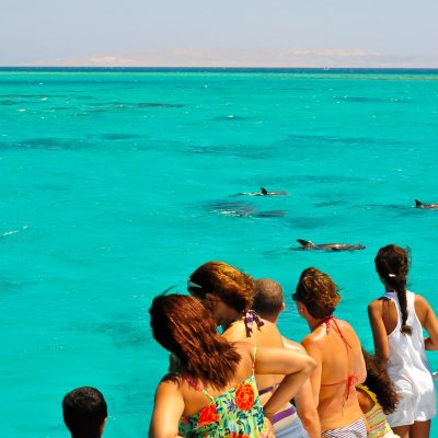 key west dolphin watch combo