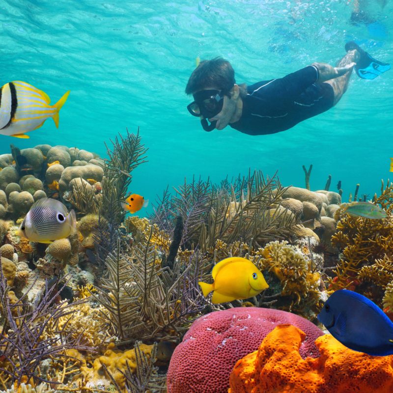 key west reef snorkel trips (1) (1)
