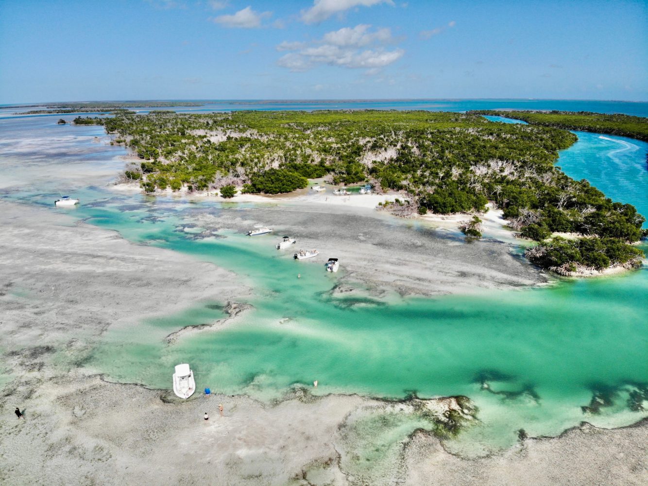 mud keys key west boat rentals