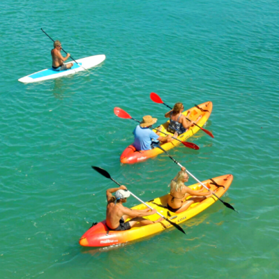 paddle board and kayak rentals smathers beach key west
