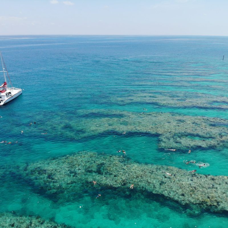 the best snorkeling trips in key west