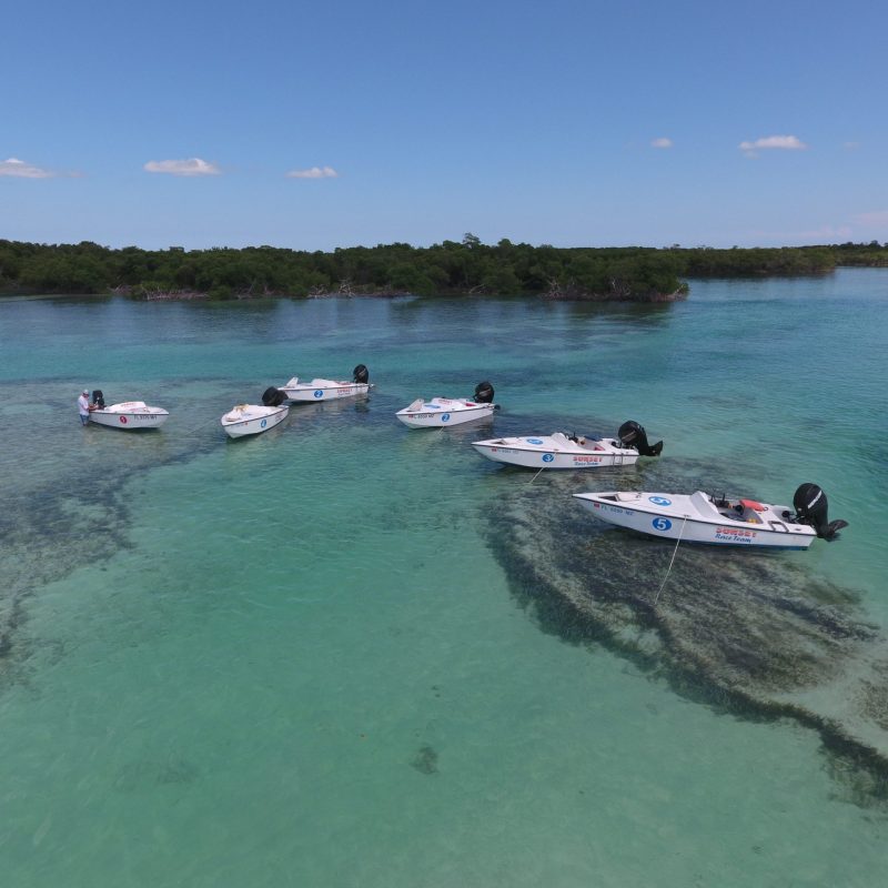 kid friendly eco tour