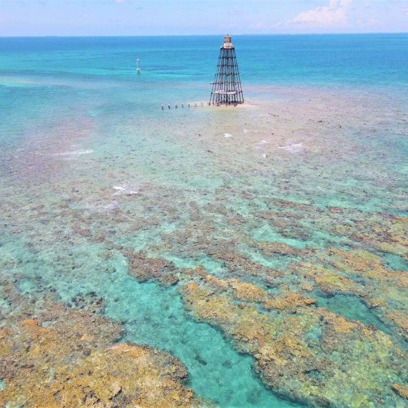 sandkey lighthouse key west reef snorkeling