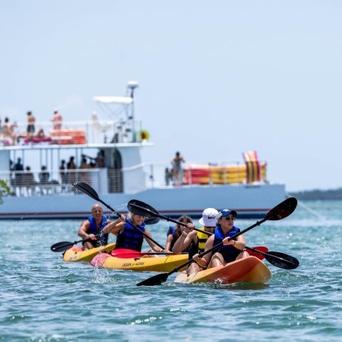 kayaking through the mangroves with sunset watersports