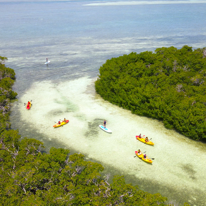 key west kayaks and paddleboards tours near me
