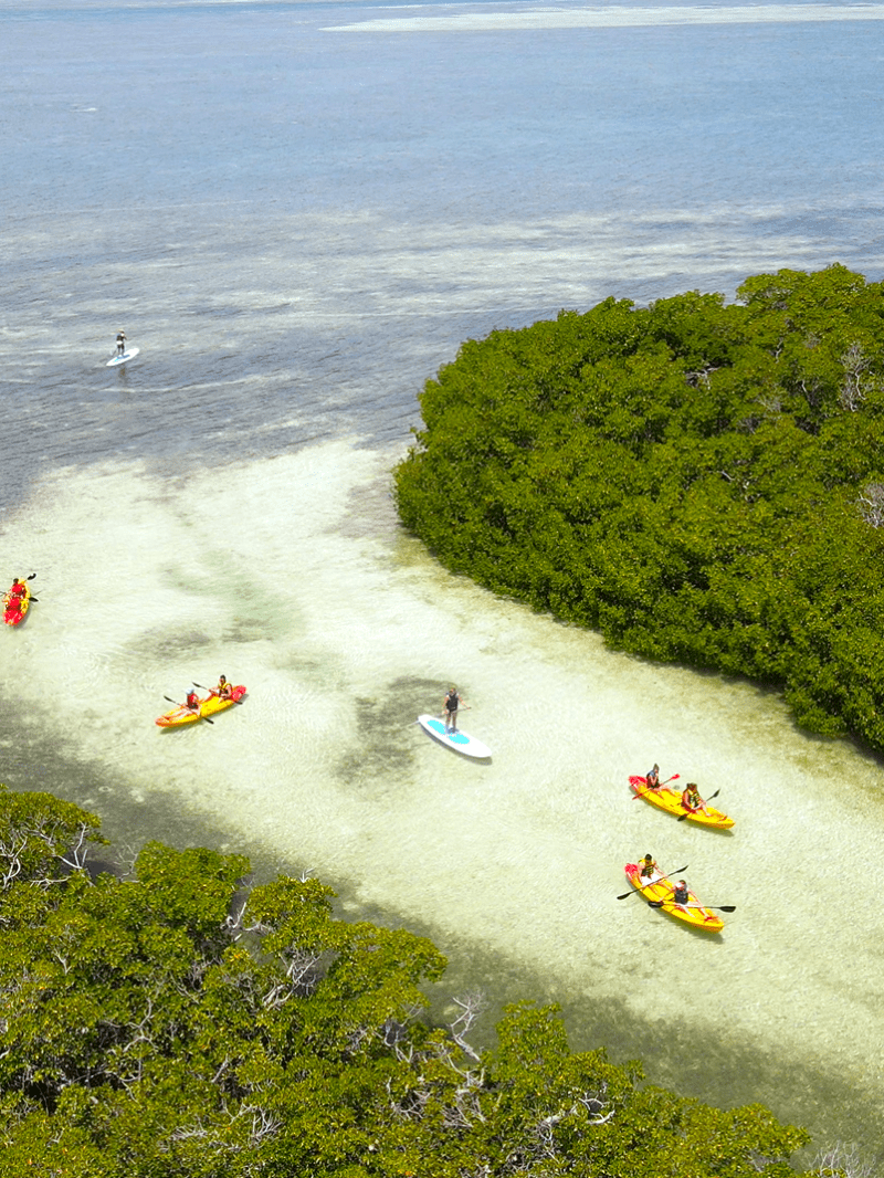 key west kayaks and paddleboards tours near me