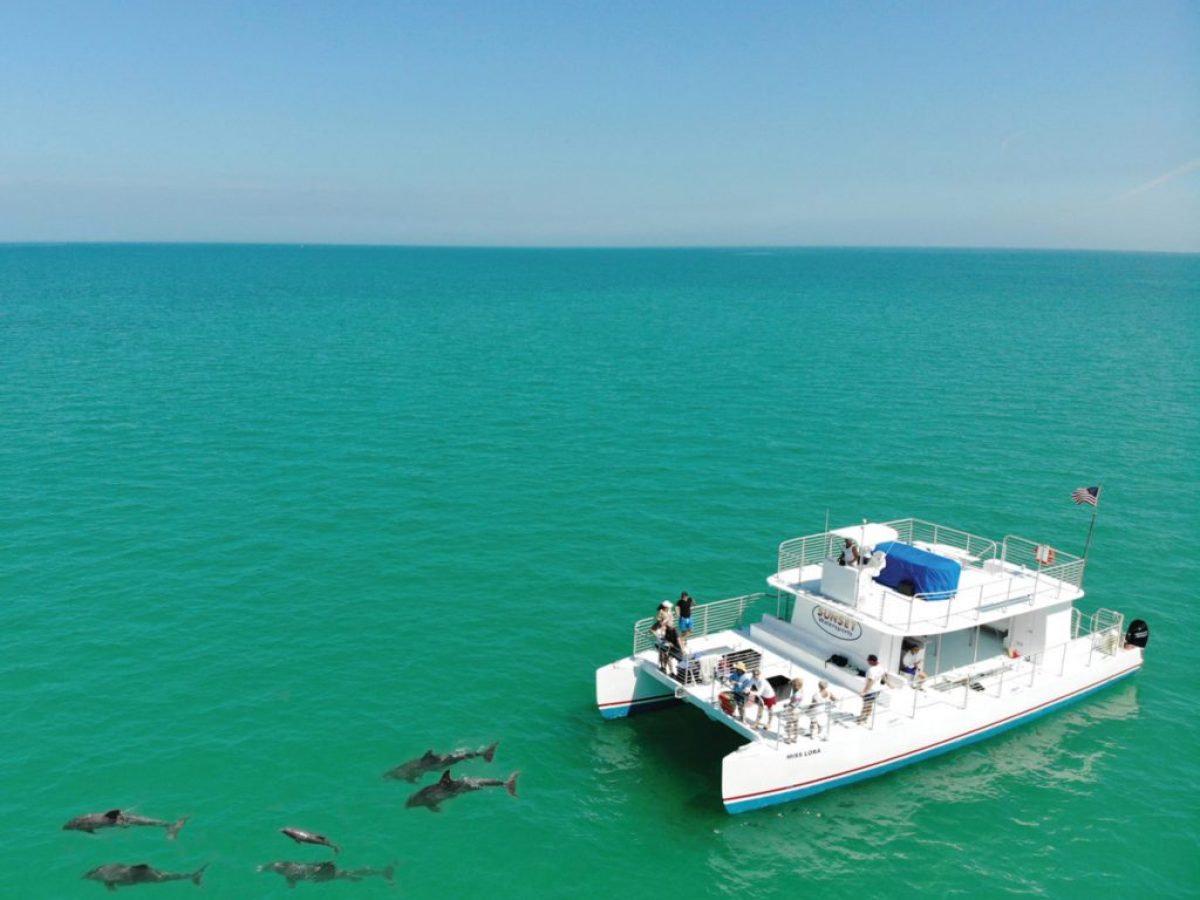 Miss-Lora-54-Power-Cat-1024x853