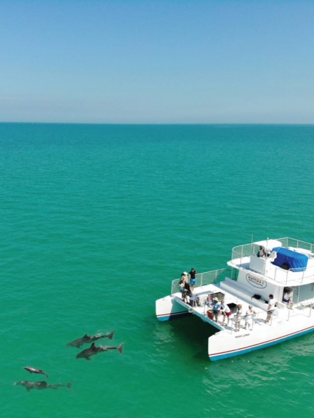 Miss-Lora-54-Power-Cat-1024x853