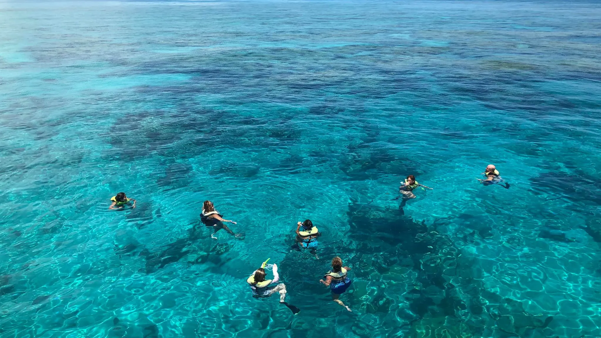 Reef Snorkeling near me