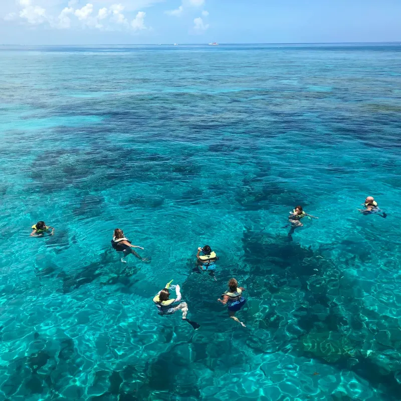 Reef Snorkeling near me