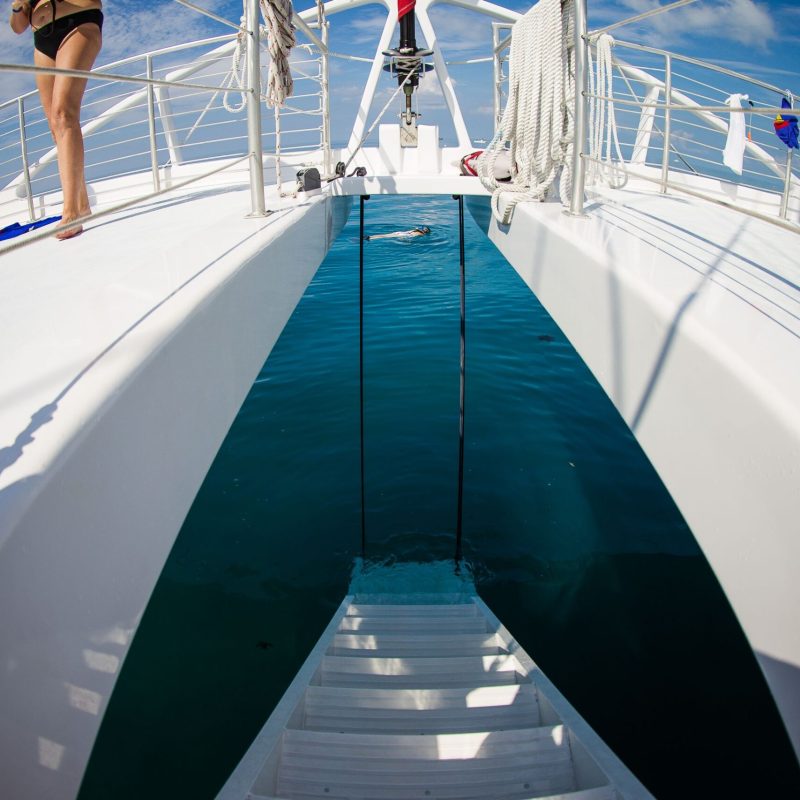 Reef morning Snorkel Key West (2)