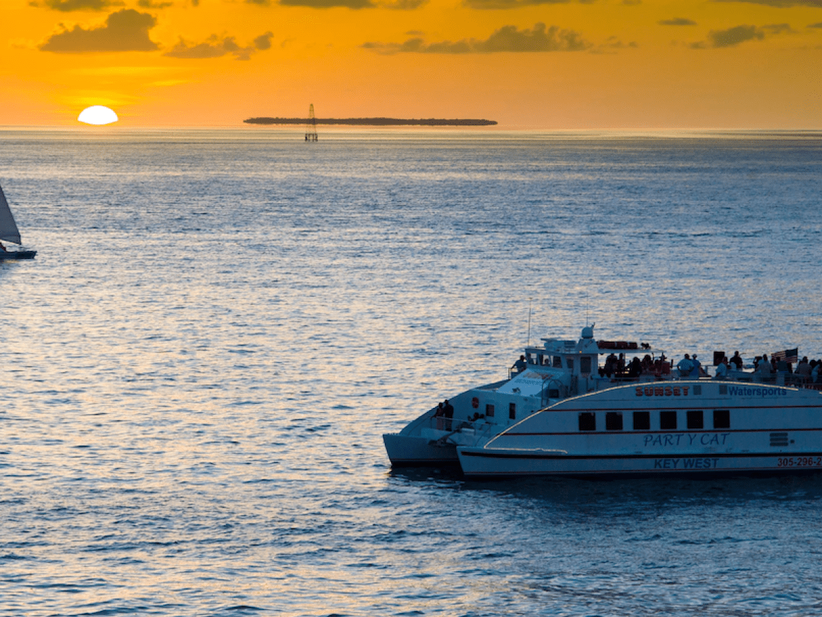 party cat dinner cruise