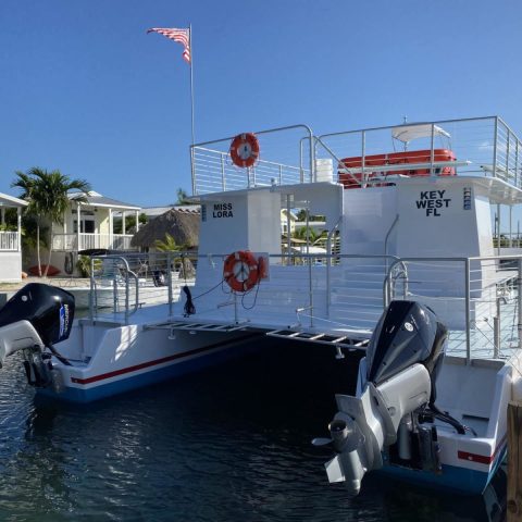 best-key-west-dolphin-boat-sunset-watersports-1