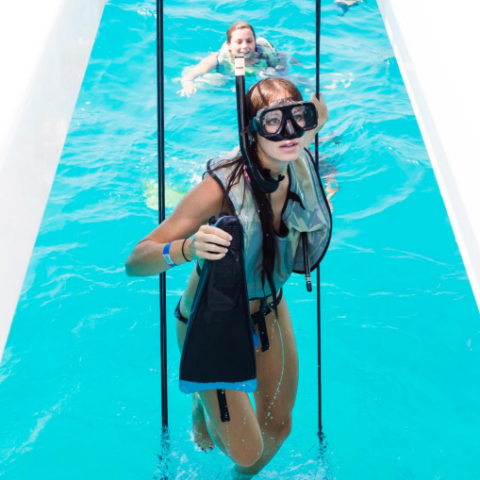 key west reef snorkeling stairs