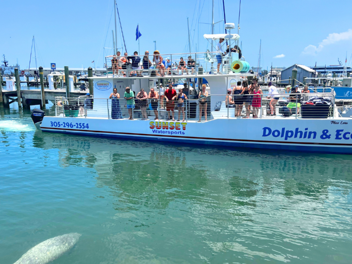miss lora sunset watersports dolphin boat in key west