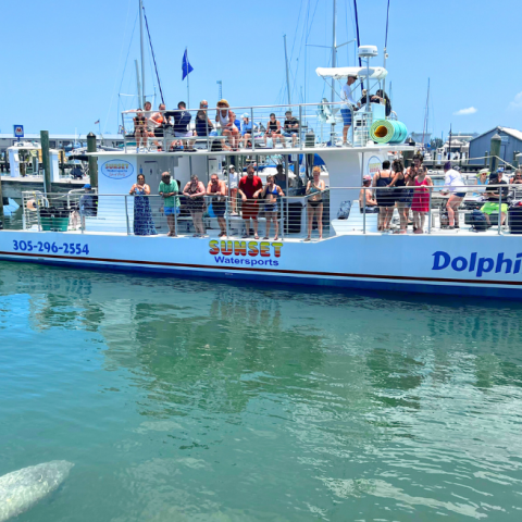 miss lora sunset watersports dolphin boat in key west