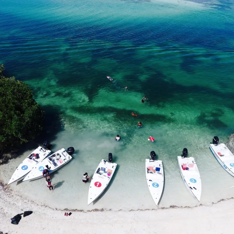 safari tour key west sunset watersports