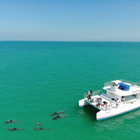 dolphin tour boat in the gulf of mexico key west