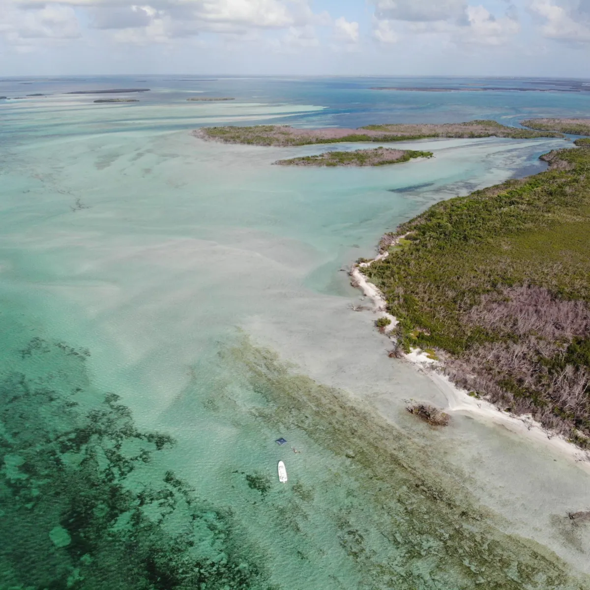 snipes point boat rentals key west