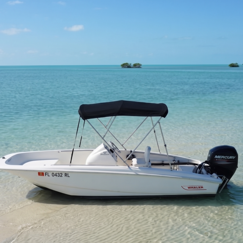Small white boat with a black canopy on a clear, shallow sea near a sandy shore.