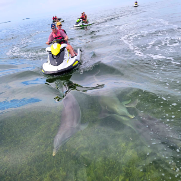 jetski with dolphins key west
