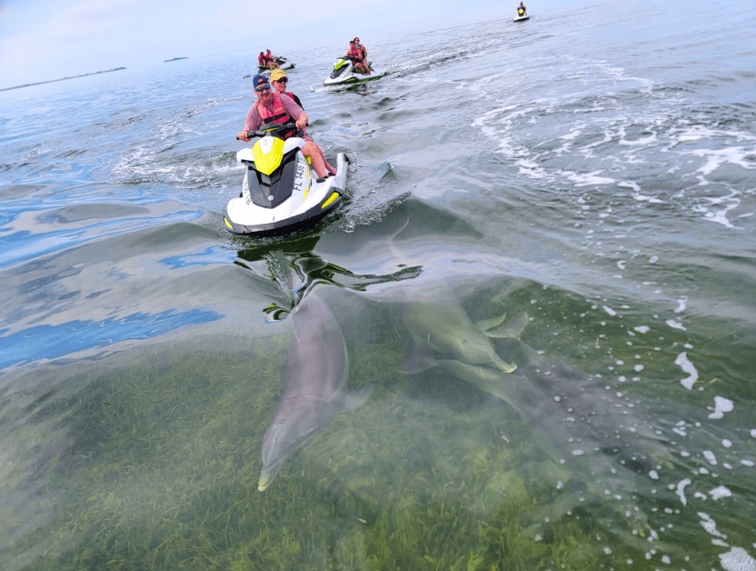 jetski tour in key west with dolphin pod