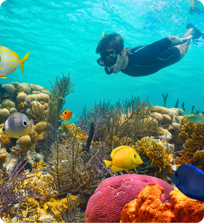 family friendly snorkel charters key west