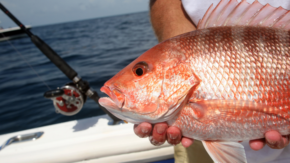 fishing in key west florida trips