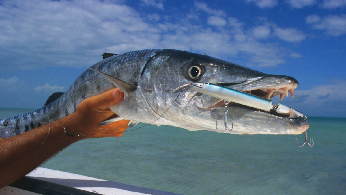 key west fishing charters